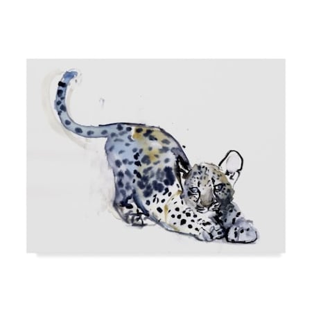 Mark Adlington 'Stretching Cub Arabian Leopard' Canvas Art,24x32